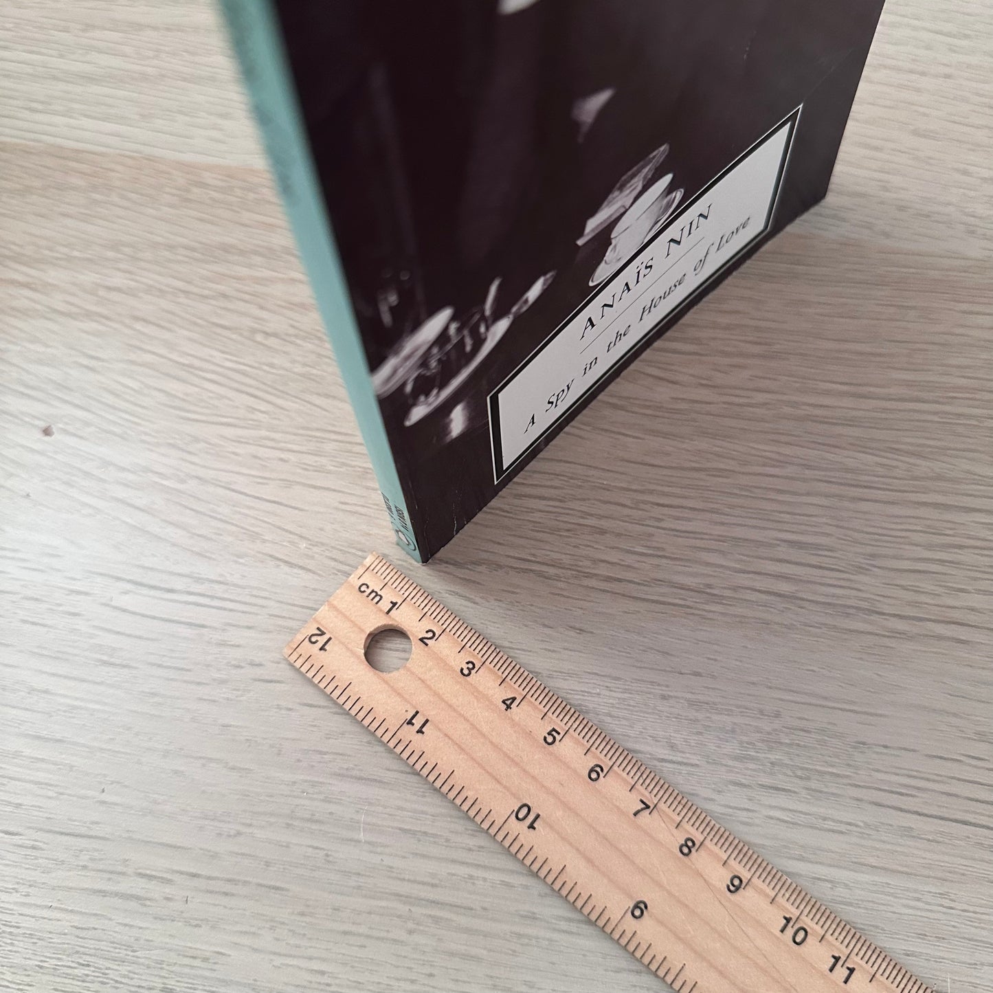 A Spy in the House of Love | Early 1990s | Anais Nin | Penguin Classics