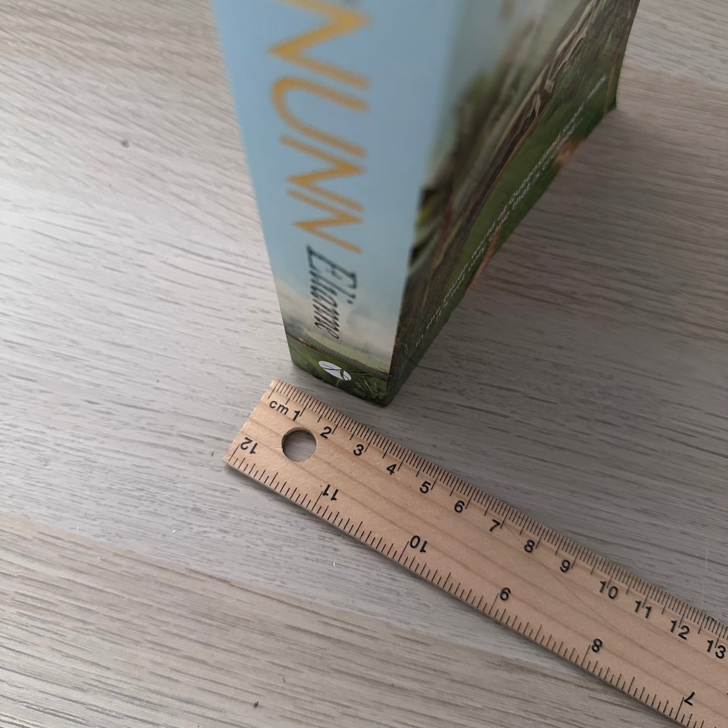 Elianne | Paperback | Judy Nunn