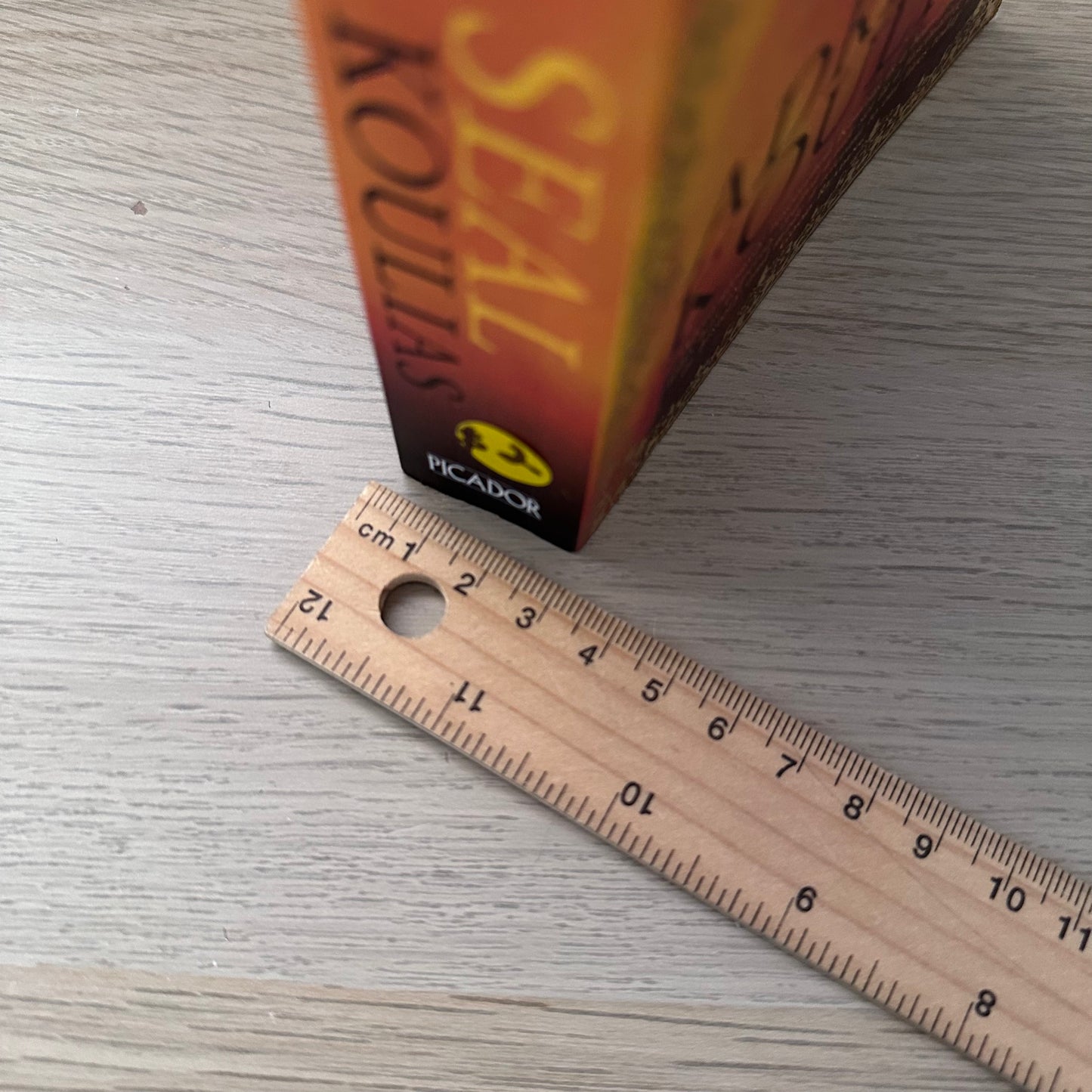 The Seal | Paperback | Adriana Koulias