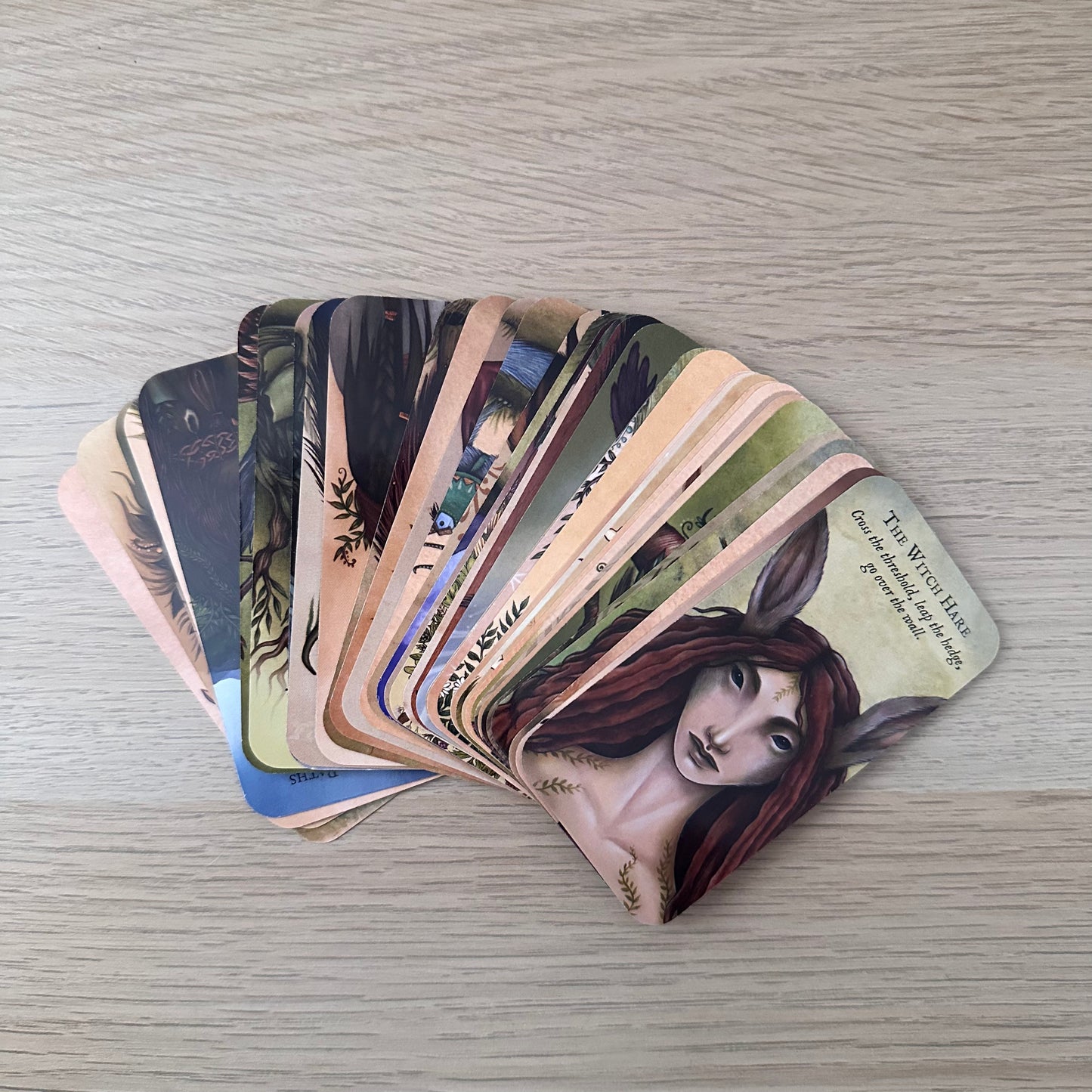 Forest Fae | Nadia Turner