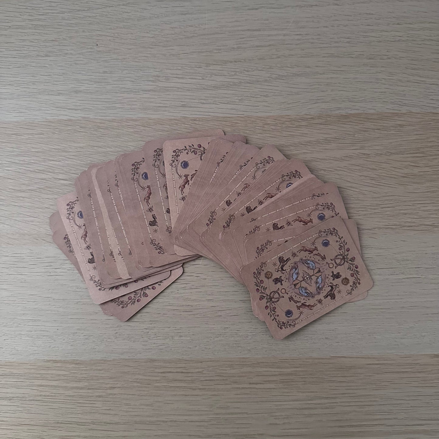 The Herbal Astrology Pocket Oracle | Adrianna Ayales | Pocket Sized