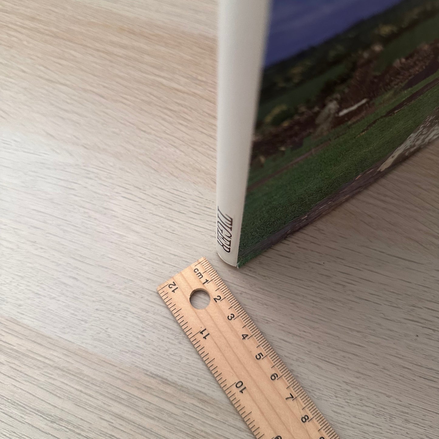 Ireland | 1994 | Simona Ratchetti | Tiger Books International