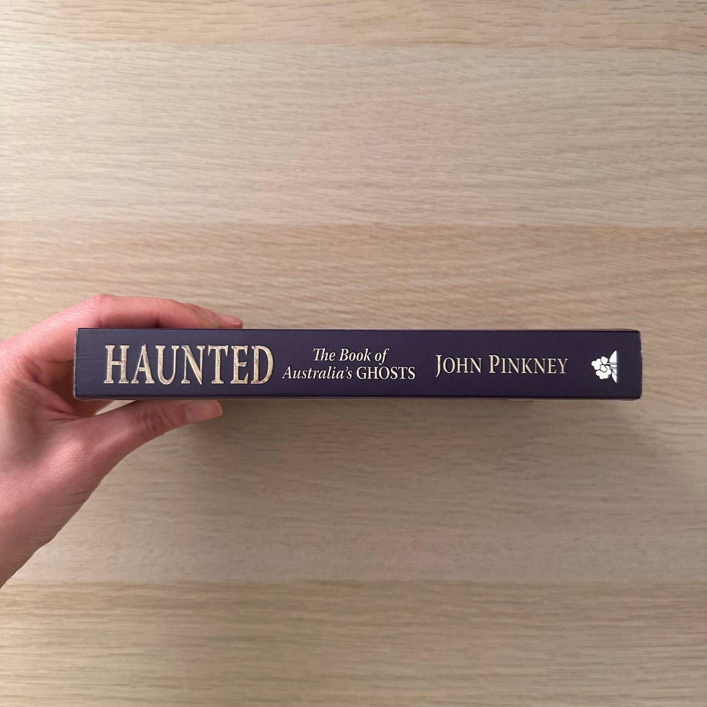 Haunted | John Pinkney