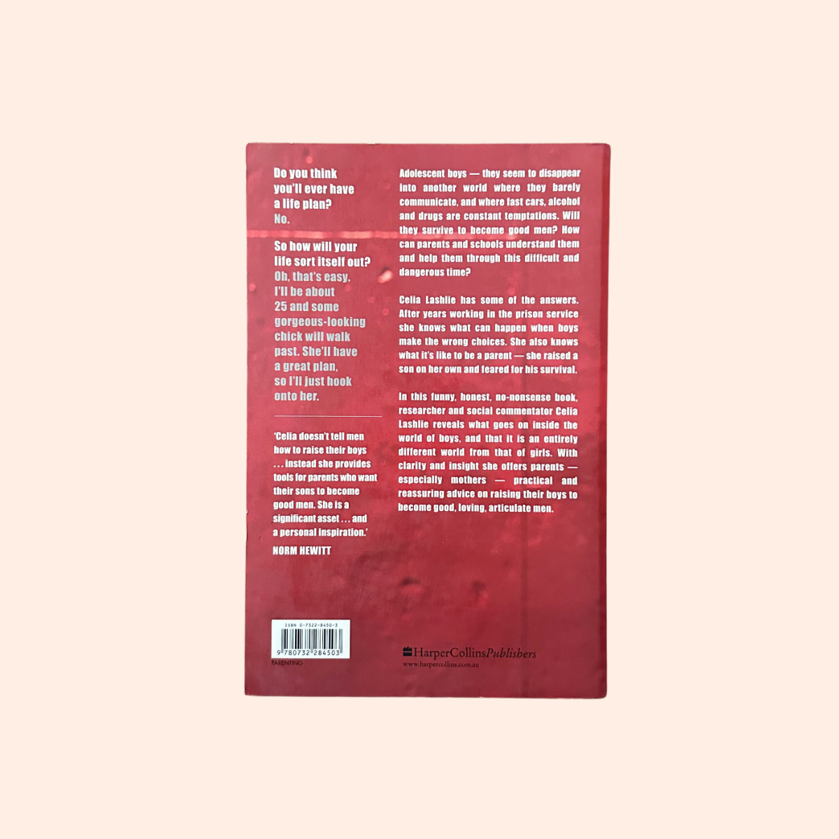 He'll Be OK | Paperback | Celia Lashlie