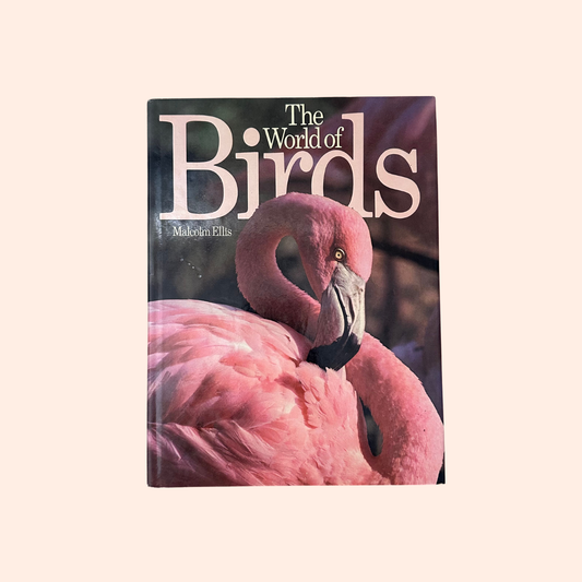 The World of Birds | 1971 | Malcolm Ellis