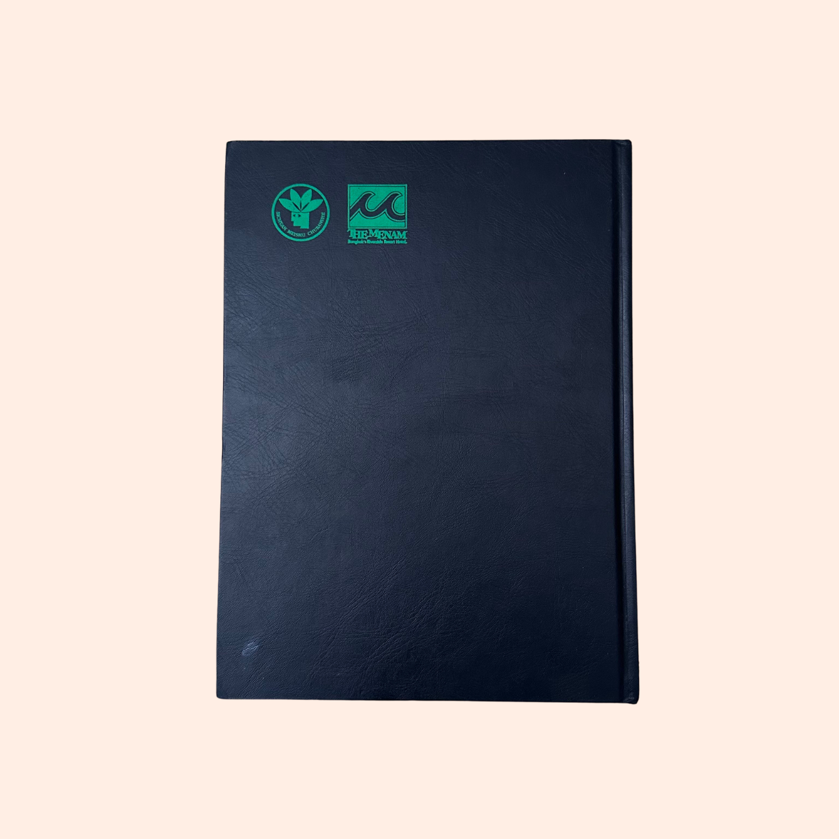 The Life and Works of Jia Youfu | 1990 | Contemporary Chinese Artists