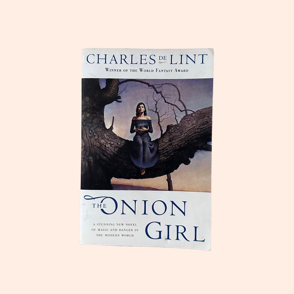 The Onion Girl | Paperback | Charles De Lint