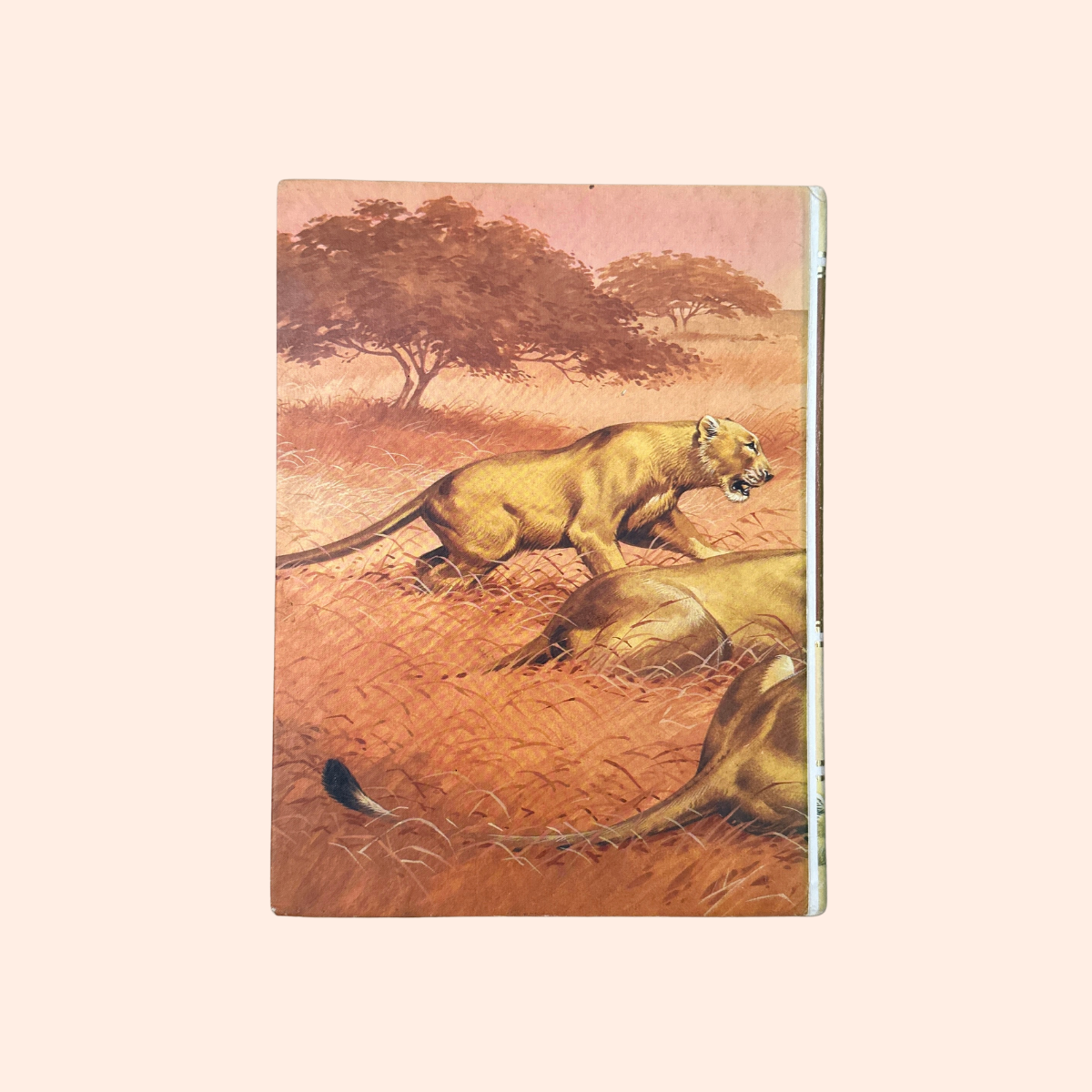 About Animals | Volume 3 | 1989 | Childcraft