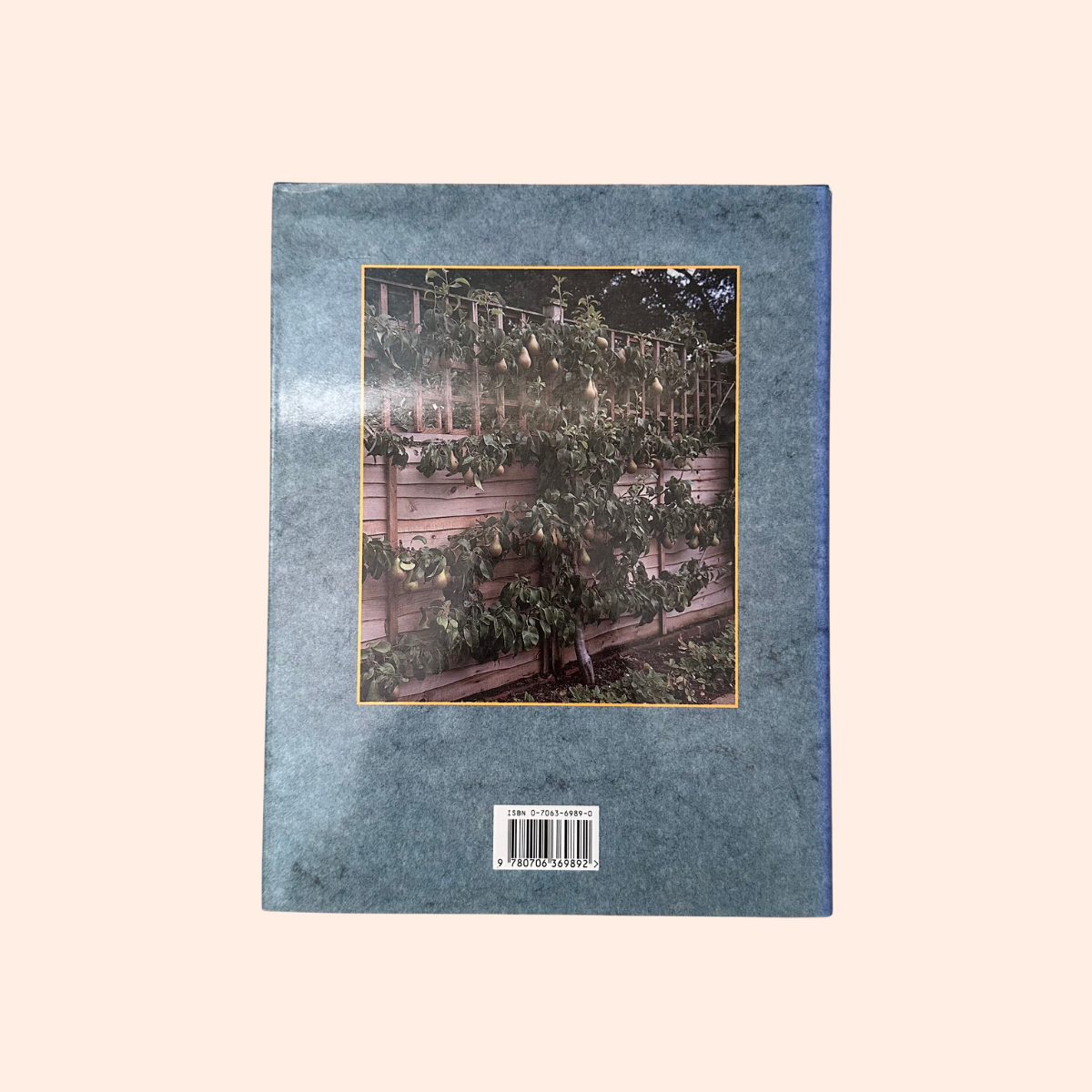 The Kitchen Gardener | 1992 | David Pople