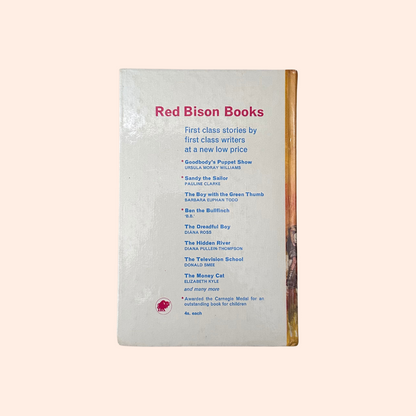 The Hidden River | 1967 | Diana Pullein-Thompson