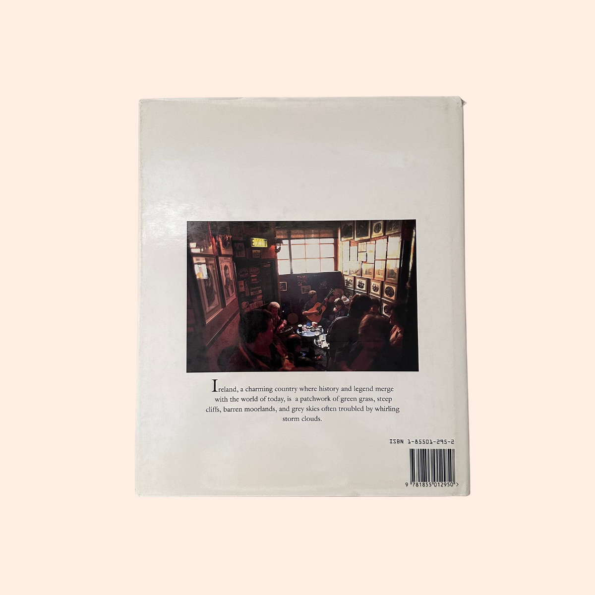 2x4 Projects for Outdoor Living | 2000 | Stevie Henderson & Mark Baldwin