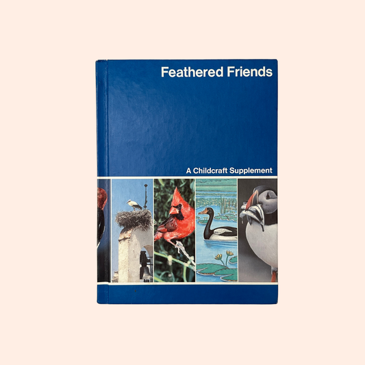Feathered Friends | Supplement to Childcraft - The How and Why Library | 1983 | Childcraft