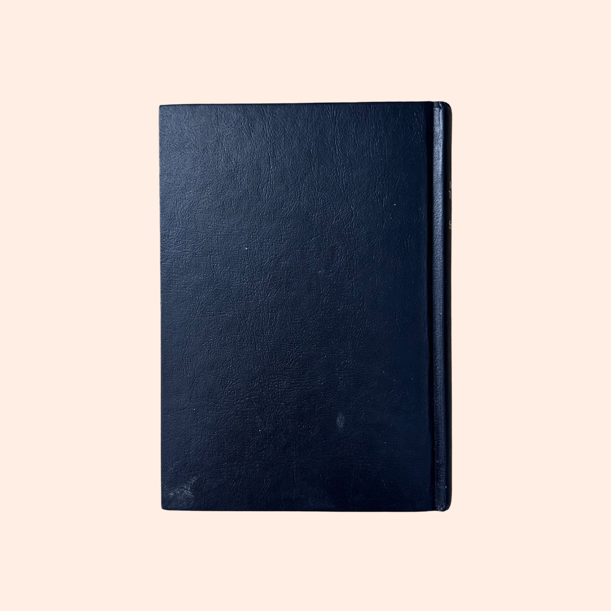 New World Translation of the Holy Scriptures | 1984