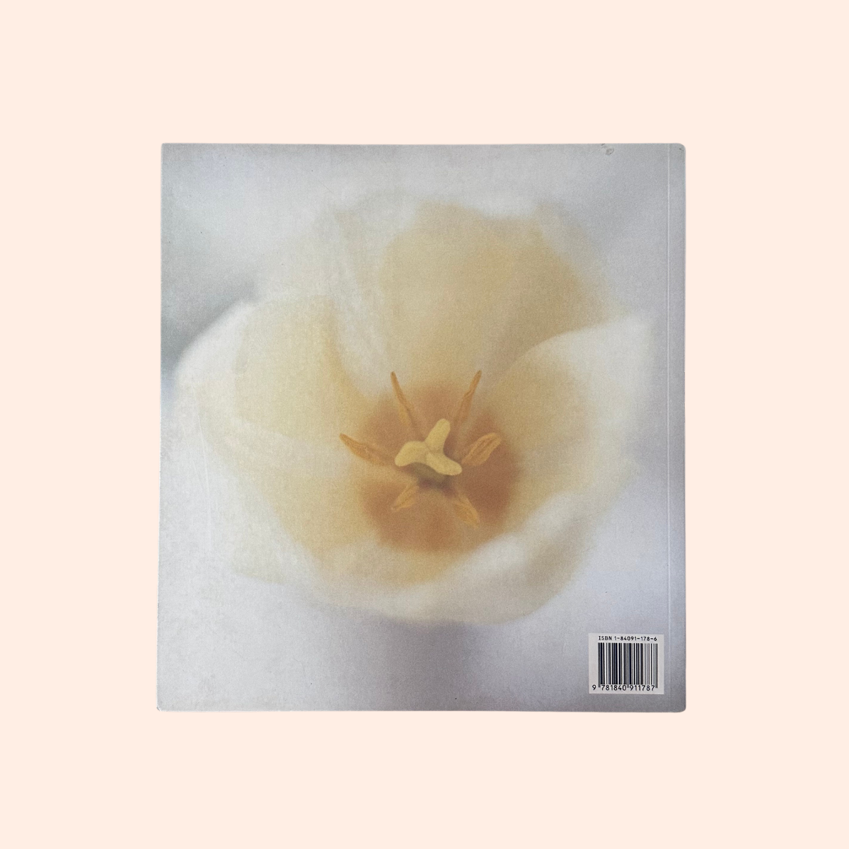 Sensual Living | Claire Llyod