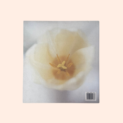 Sensual Living | Claire Llyod