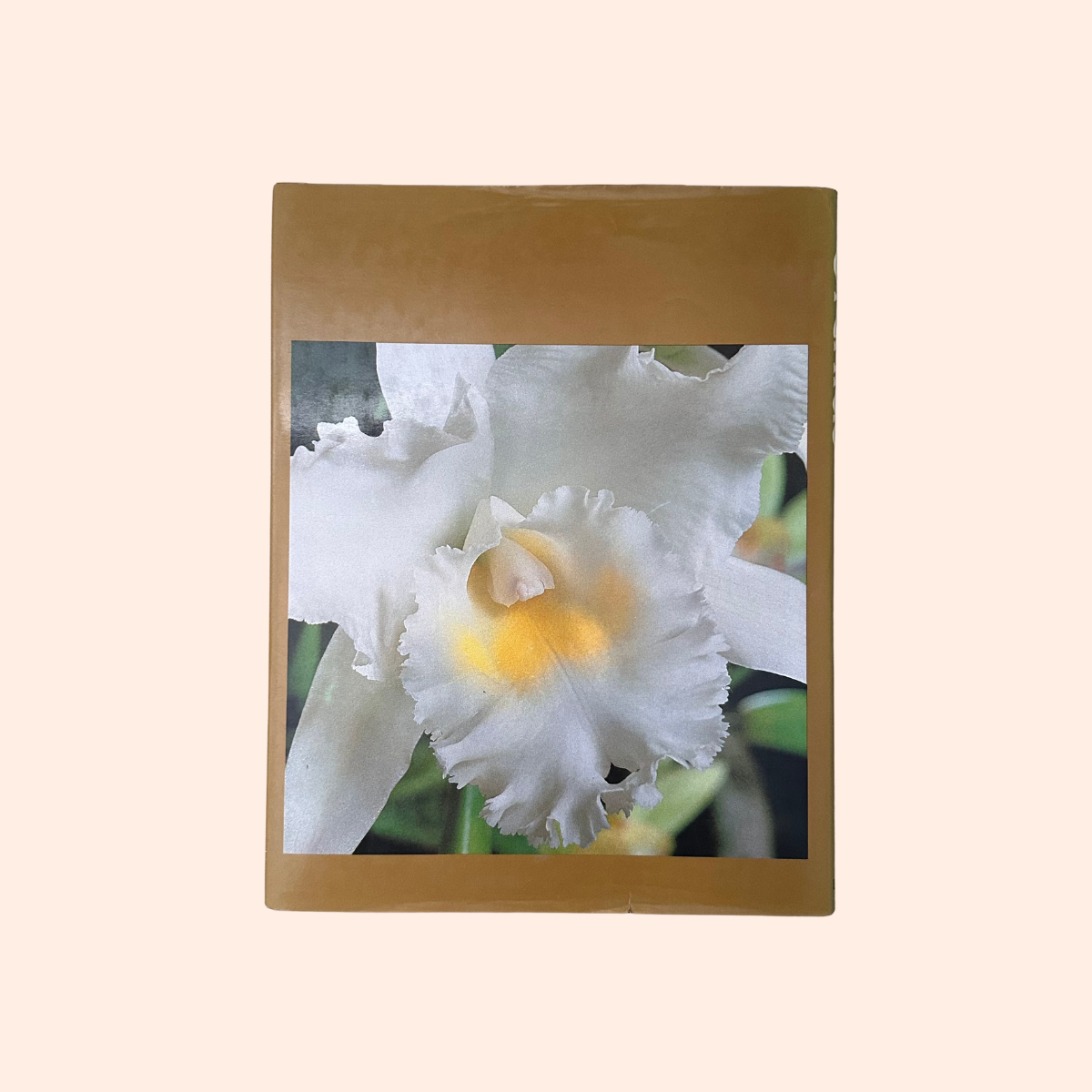 Orchids for the Australian Garden | Keith Irvine