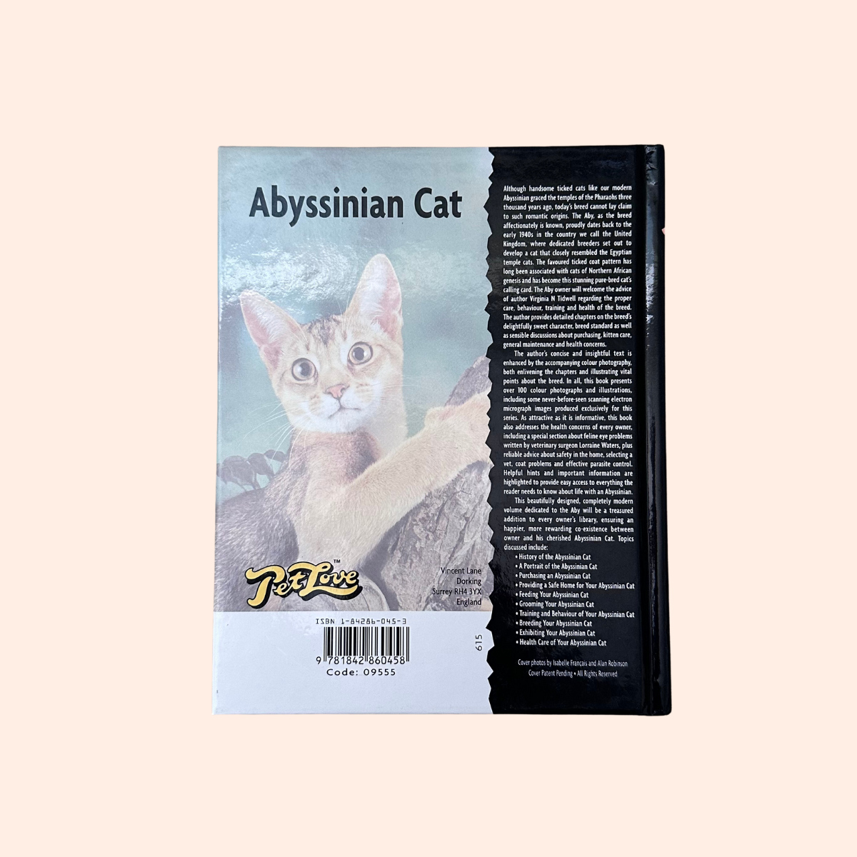 Abyssinian Cat | Virginia N. Tidwell