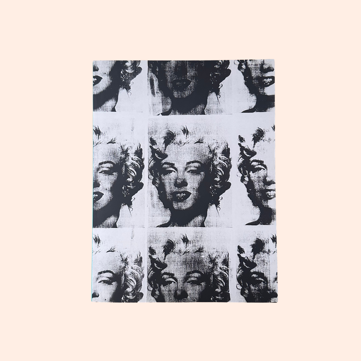 Andy Warhol | Gregor Muir