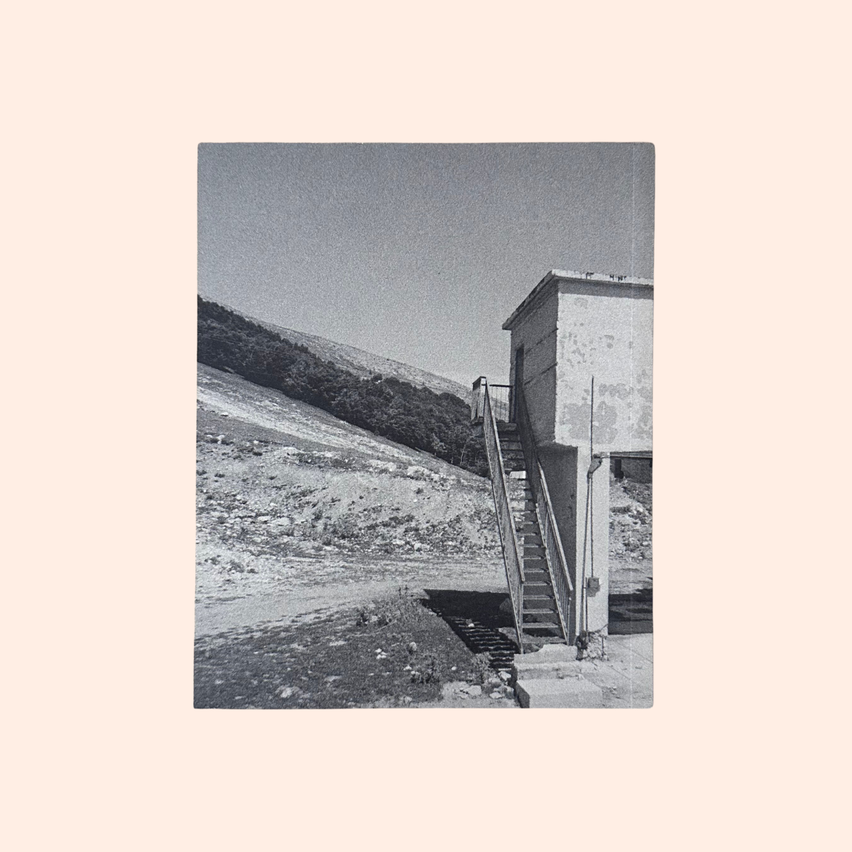 Disappearers | Art Catalogue 2009 - 2010 | Simon Gregg