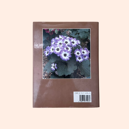 Flowering Pot Plants All Year Round | 1986 | Gordon Procter