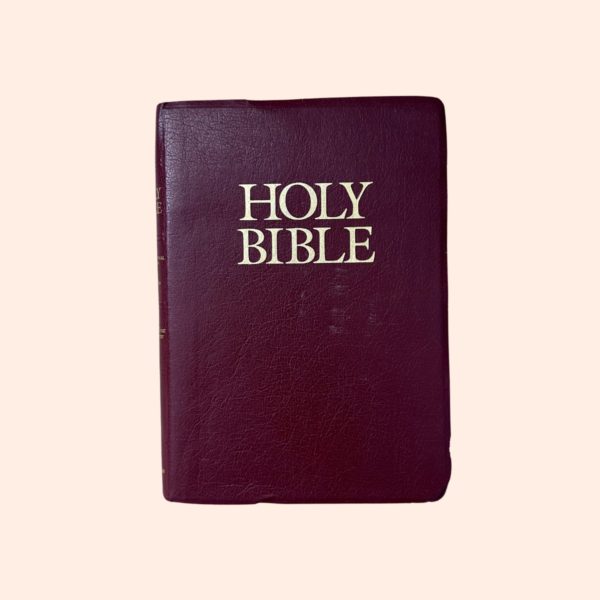 Holy Bible | New international version with helps | Words of Christ in Red Letter | 1984 | Zondervan