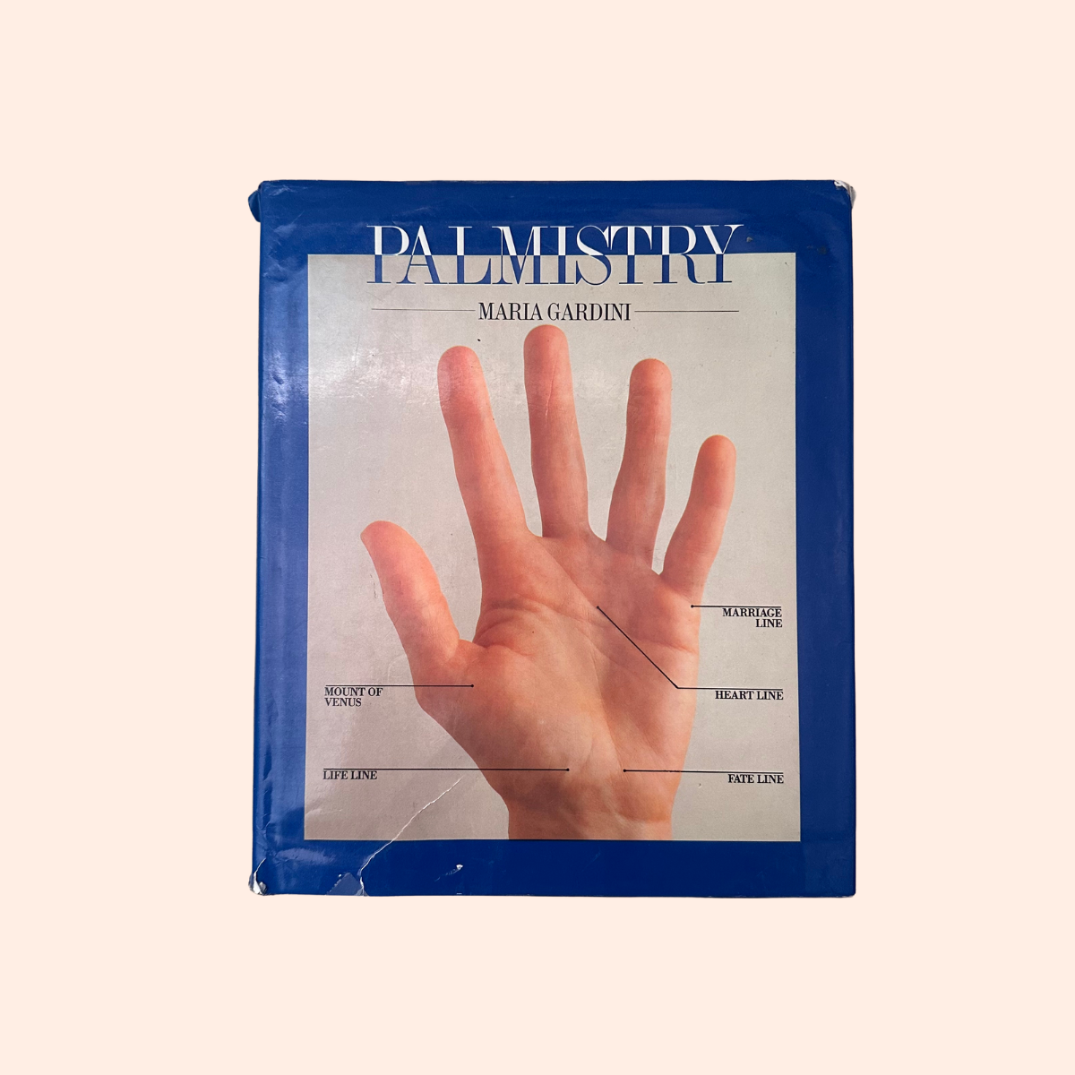 Palmistry | Maria Gardini