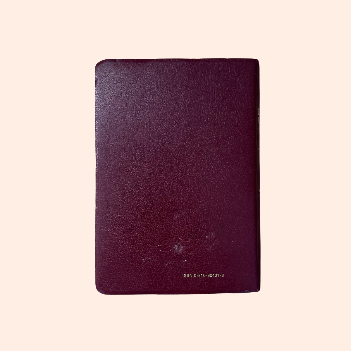 Holy Bible | New international version with helps | Words of Christ in Red Letter | 1984 | Zondervan