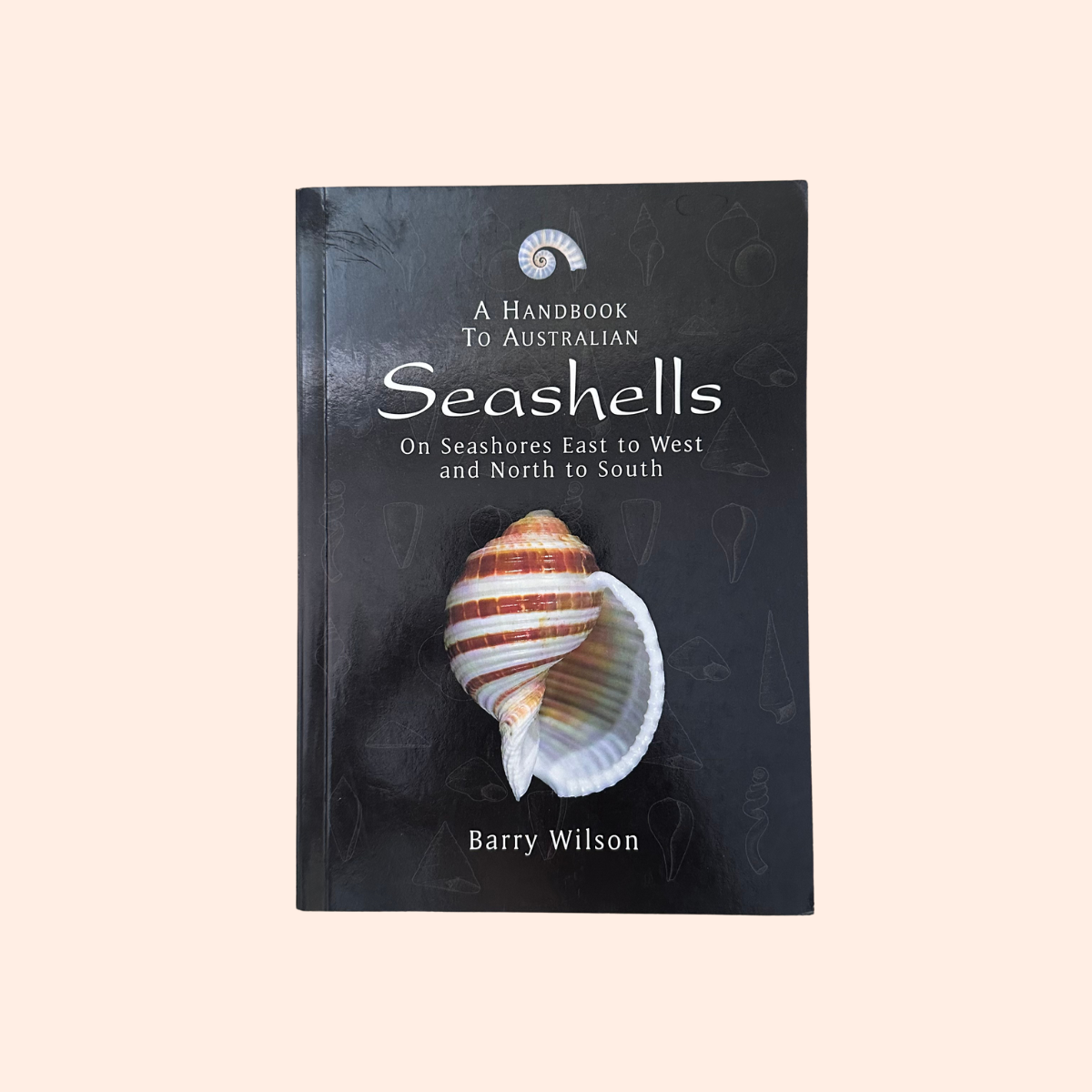 Seashells | Barry Wilson