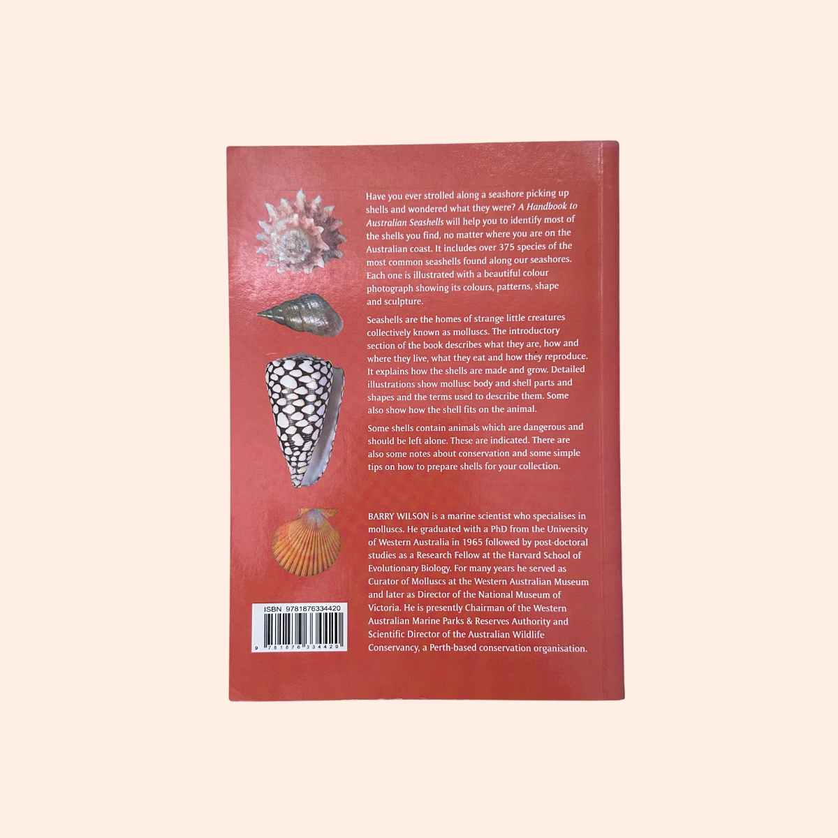 Seashells | Barry Wilson