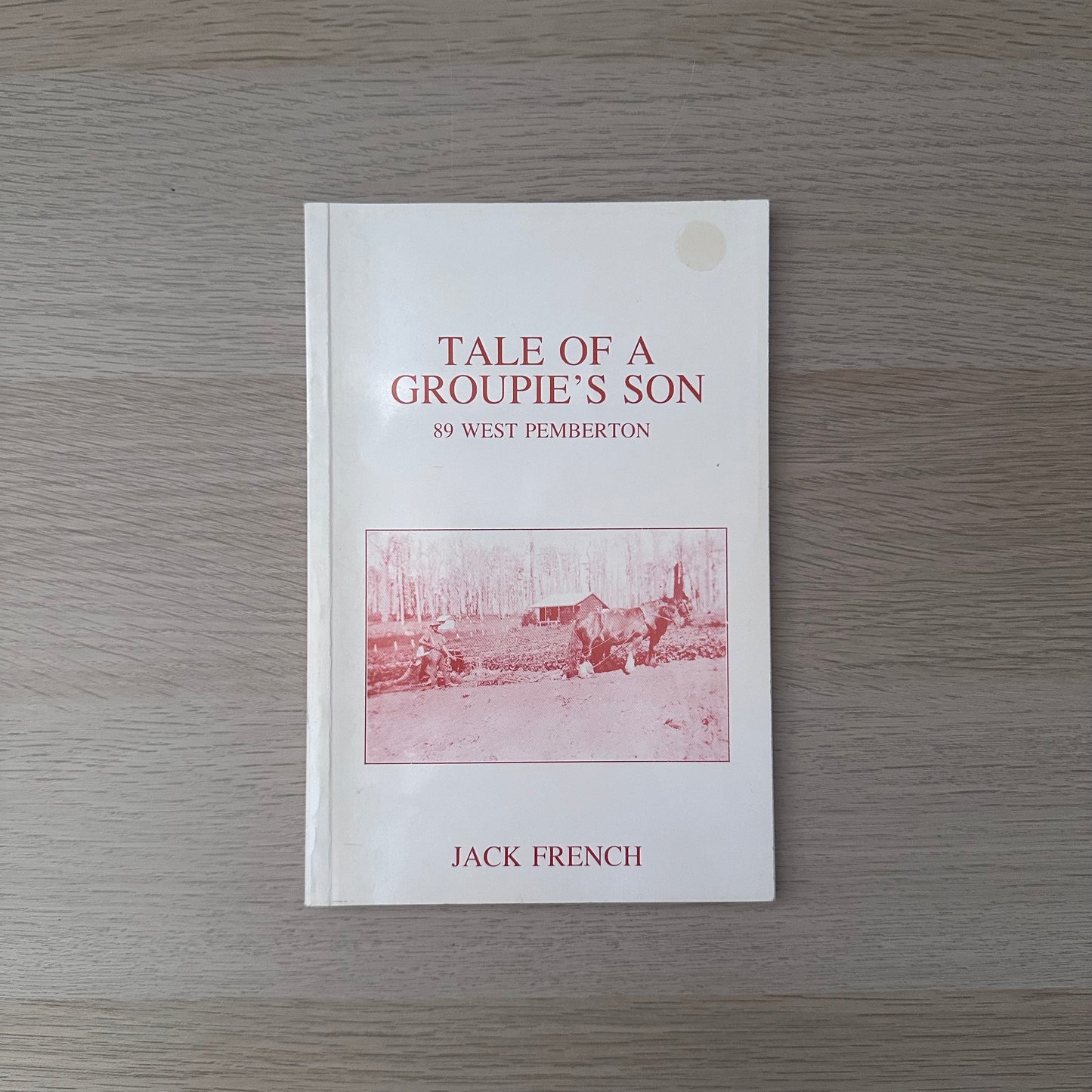 Tale of a Groupie's Son | 1989 | Jack French