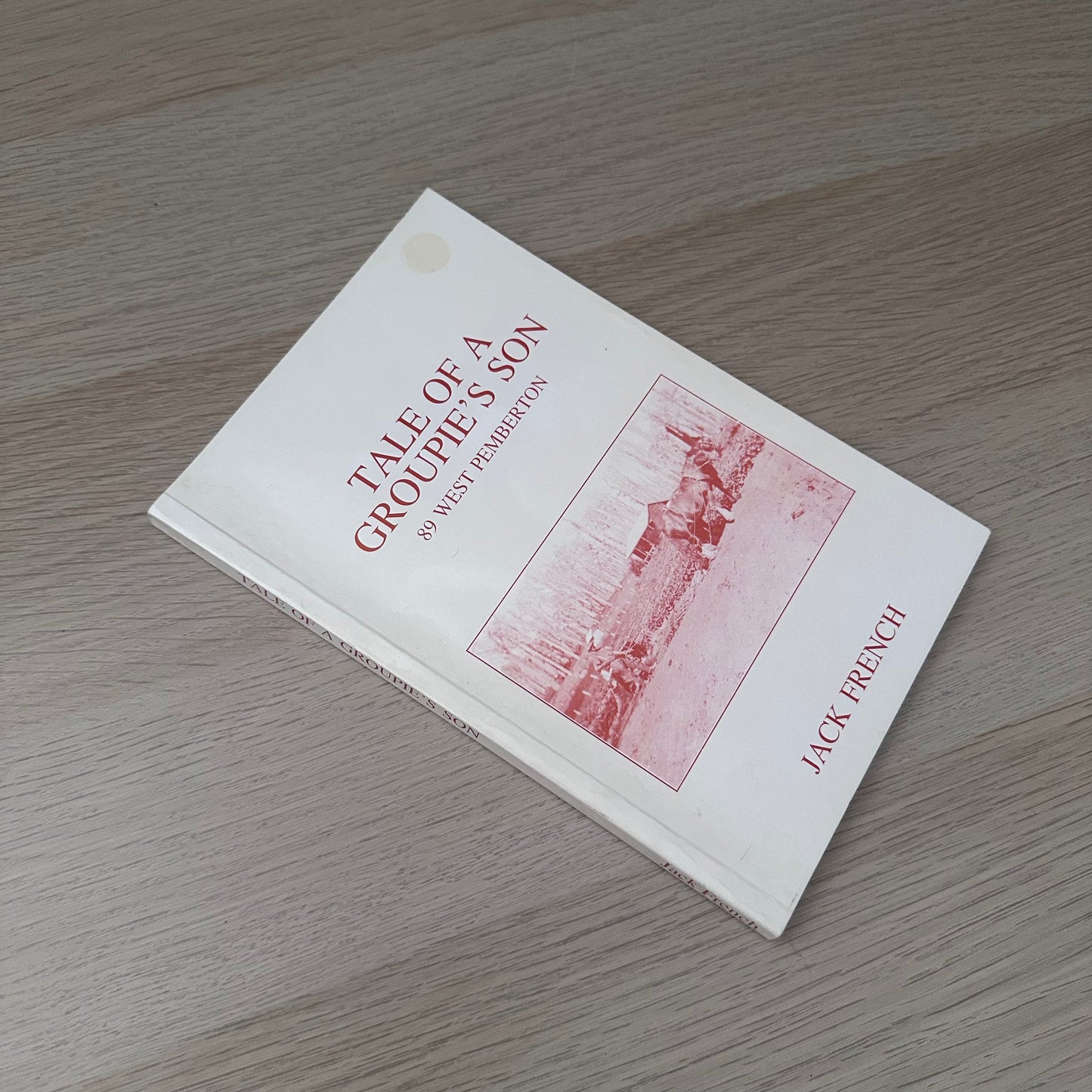 Tale of a Groupie's Son | 1989 | Jack French