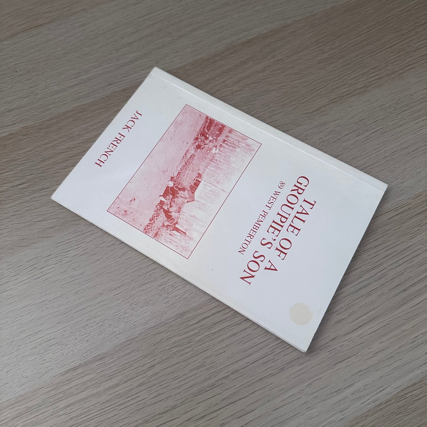 Tale of a Groupie's Son | 1989 | Jack French