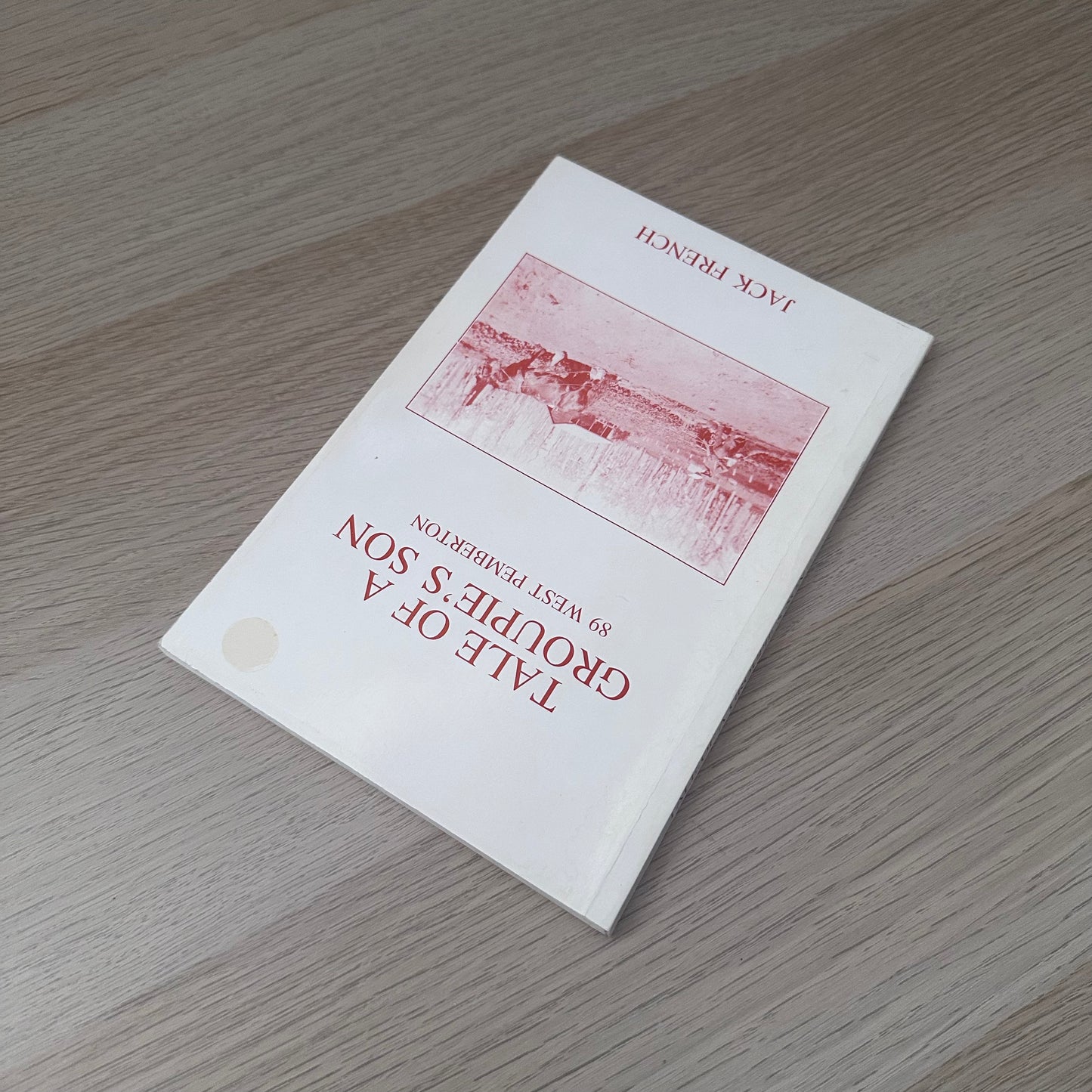 Tale of a Groupie's Son | 1989 | Jack French