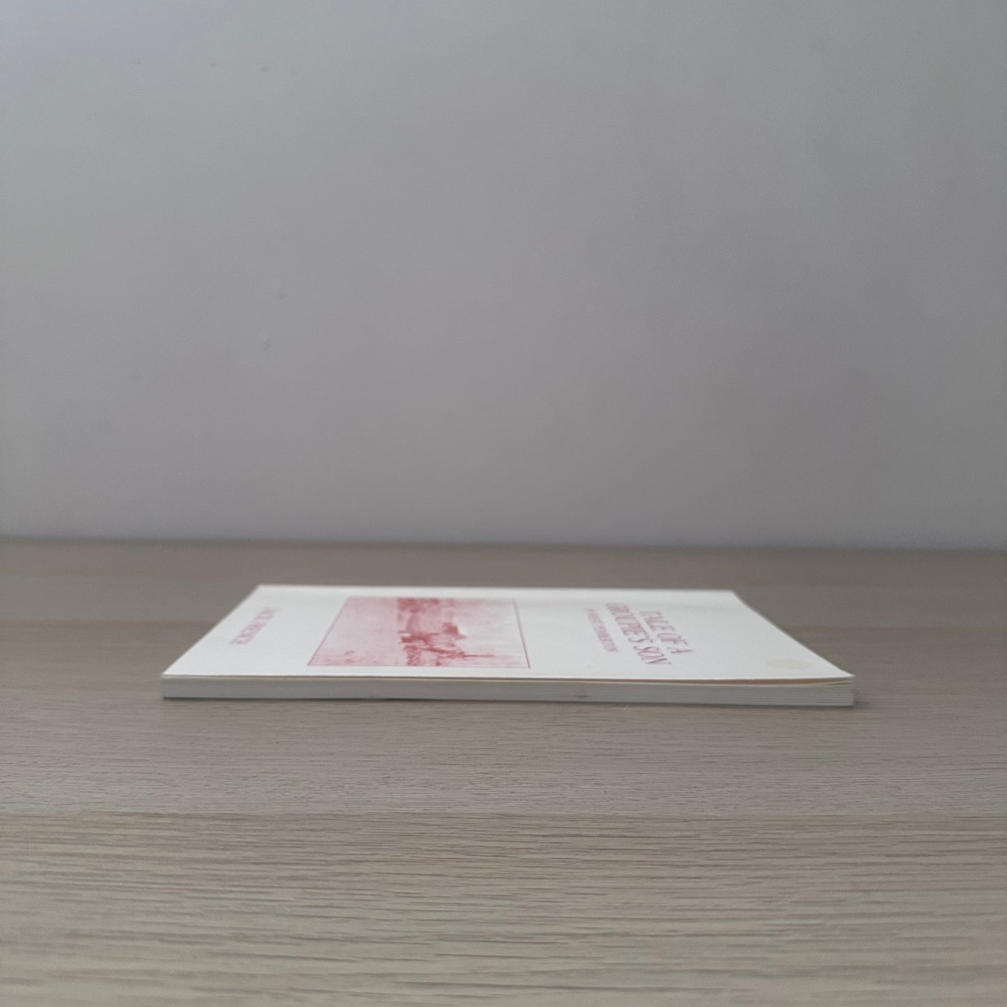 Tale of a Groupie's Son | 1989 | Jack French