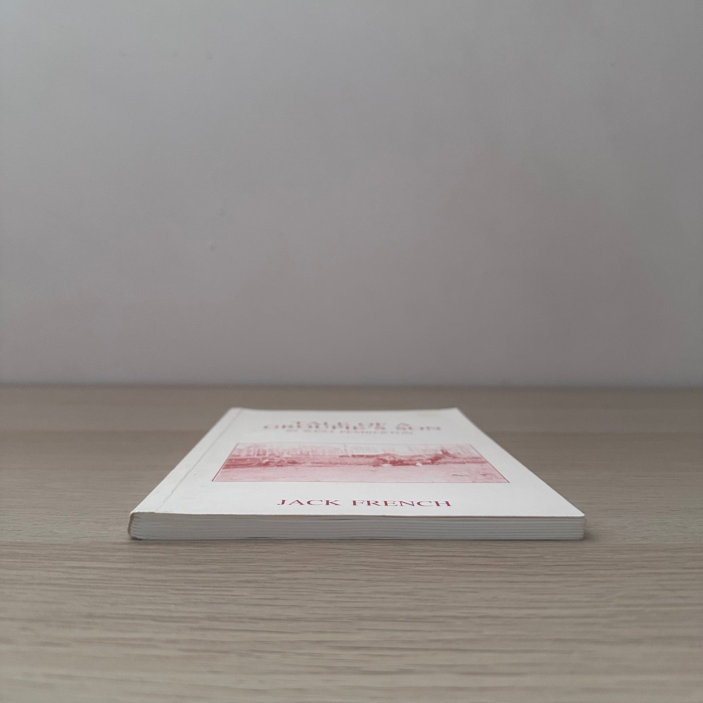 Tale of a Groupie's Son | 1989 | Jack French