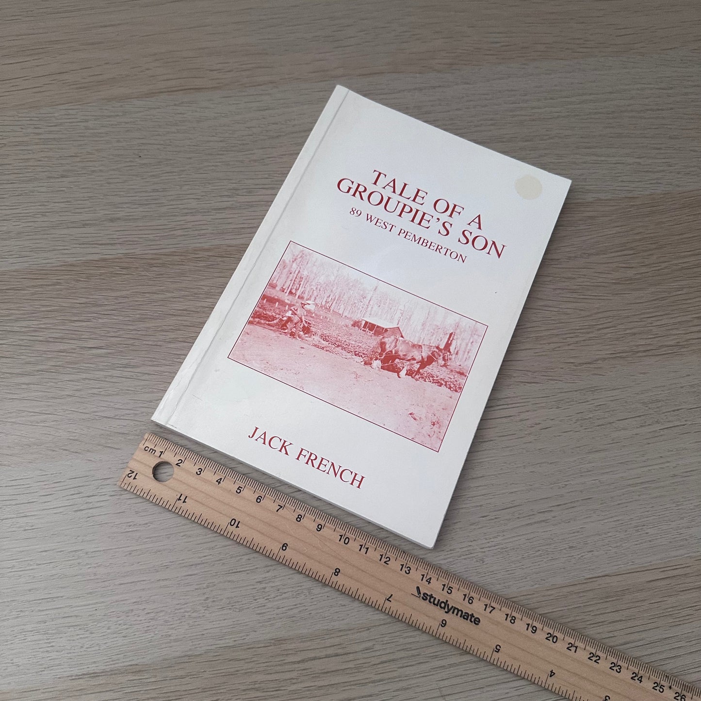 Tale of a Groupie's Son | 1989 | Jack French