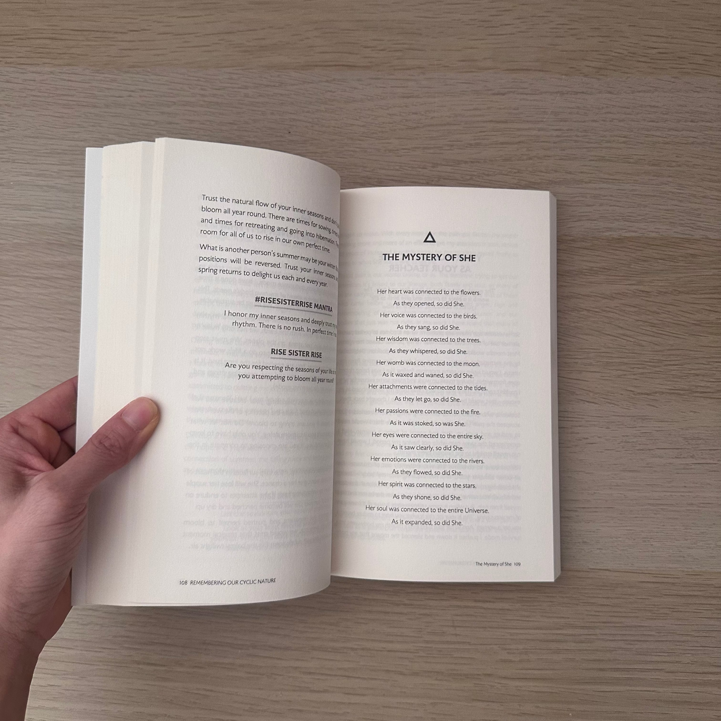 Rise Sister Rise | Rebecca Campbell