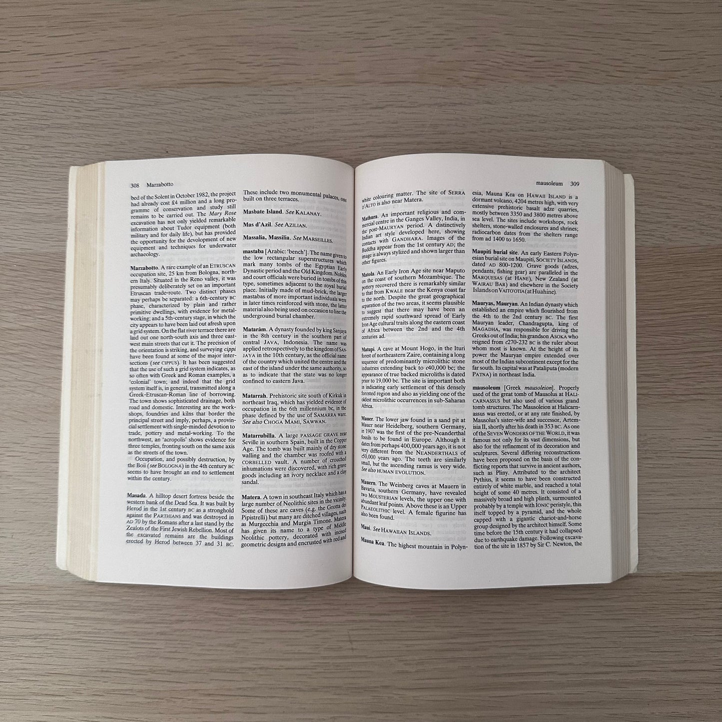 Macmillan Dictionary of Archaeology | Ex-Library