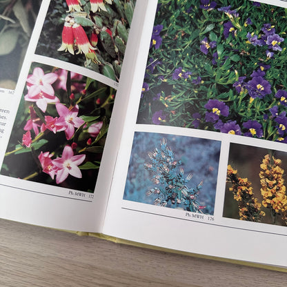 Australian Native Gardening Made Easy | 1986 | Dick Chadwick