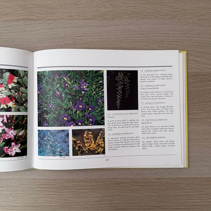 Australian Native Gardening Made Easy | 1986 | Dick Chadwick