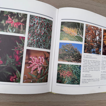 Australian Native Gardening Made Easy | 1986 | Dick Chadwick