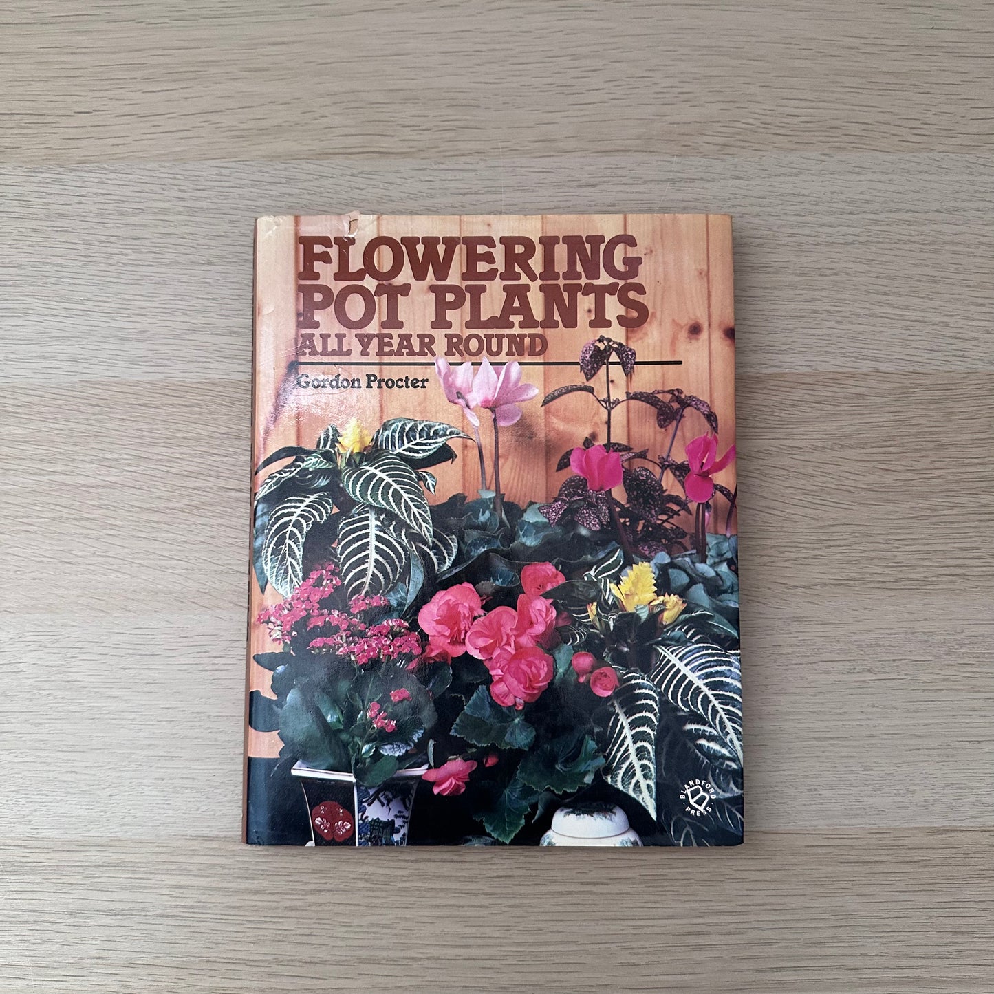 Flowering Pot Plants All Year Round | 1986 | Gordon Procter