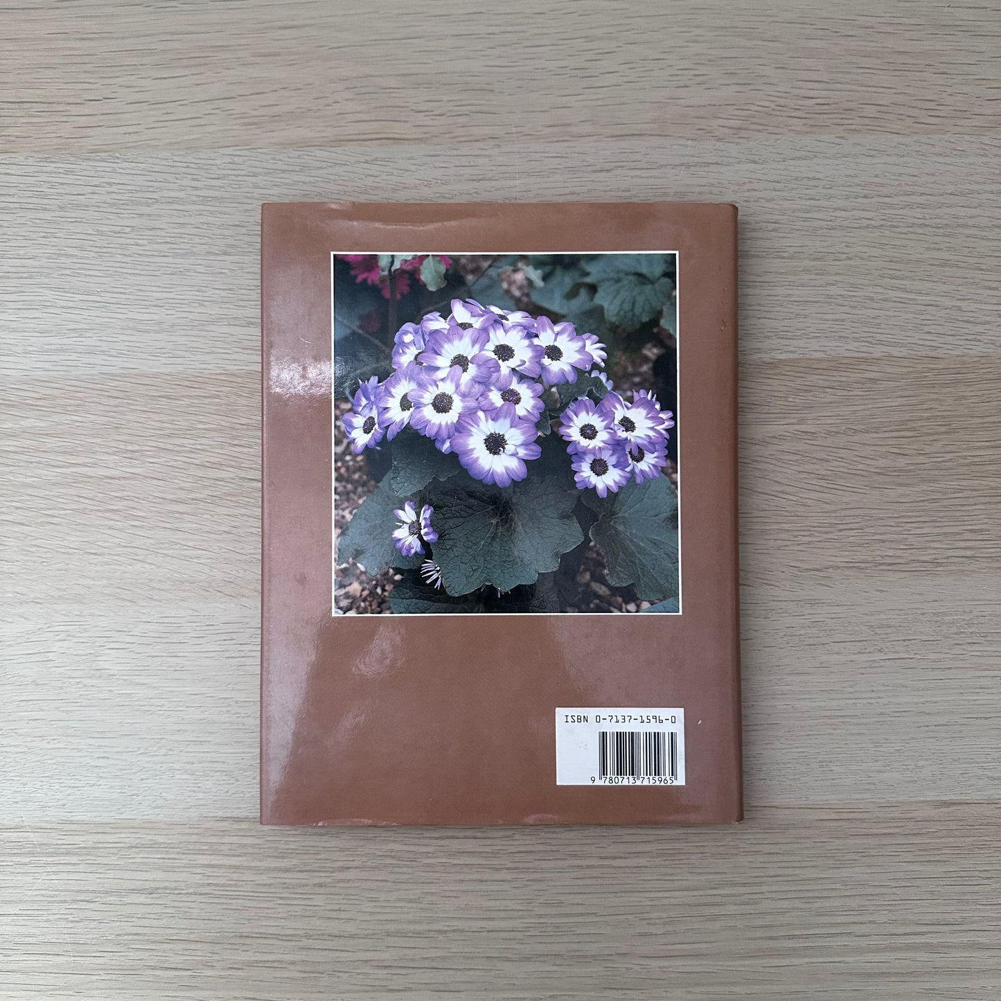 Flowering Pot Plants All Year Round | 1986 | Gordon Procter