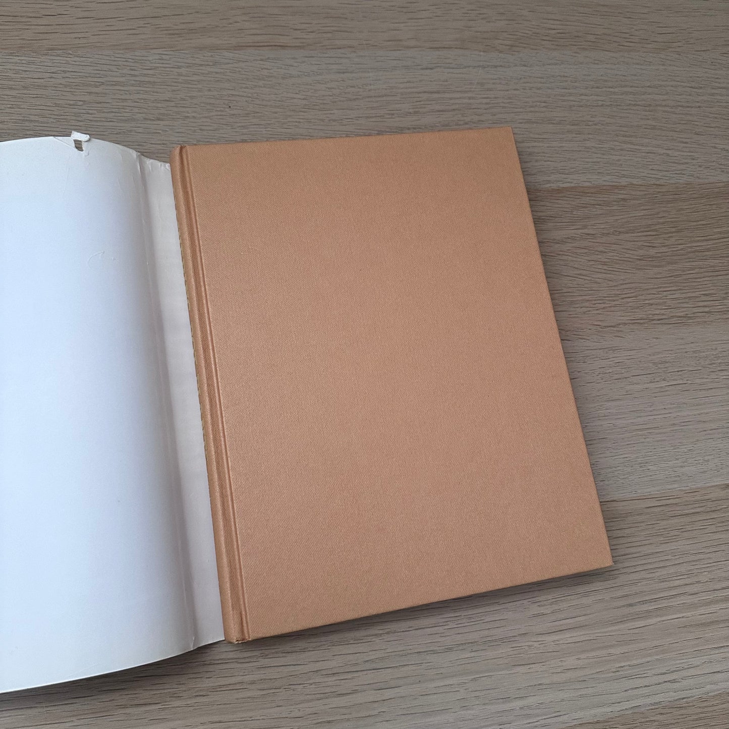 Flowering Pot Plants All Year Round | 1986 | Gordon Procter