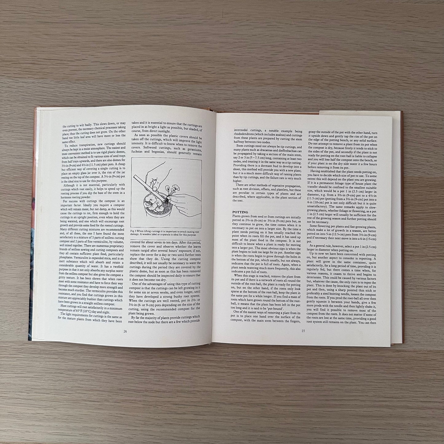 Flowering Pot Plants All Year Round | 1986 | Gordon Procter