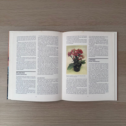 Flowering Pot Plants All Year Round | 1986 | Gordon Procter