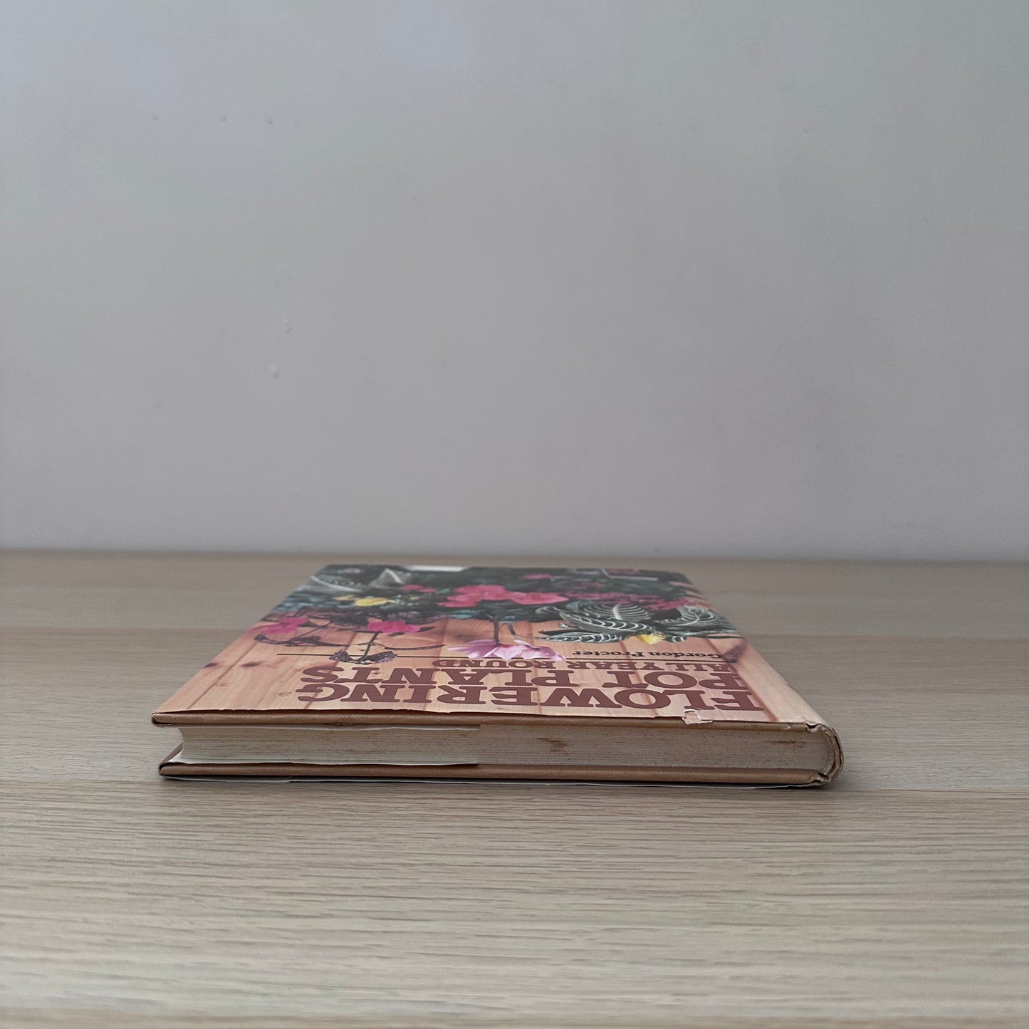 Flowering Pot Plants All Year Round | 1986 | Gordon Procter