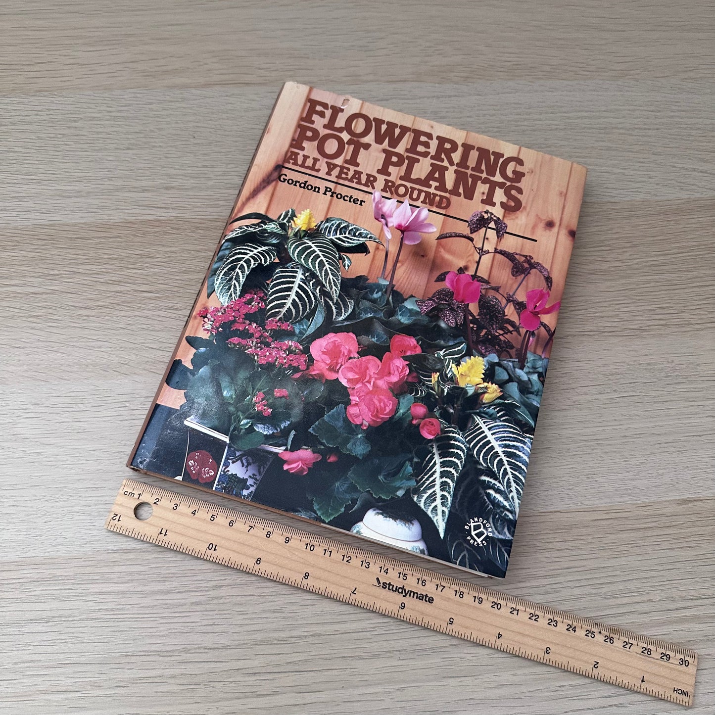 Flowering Pot Plants All Year Round | 1986 | Gordon Procter