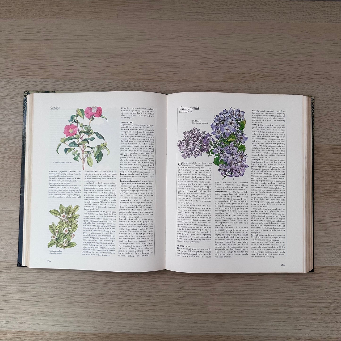 Complete Guide to Indoor Plants | 1981 | Reader's Digest