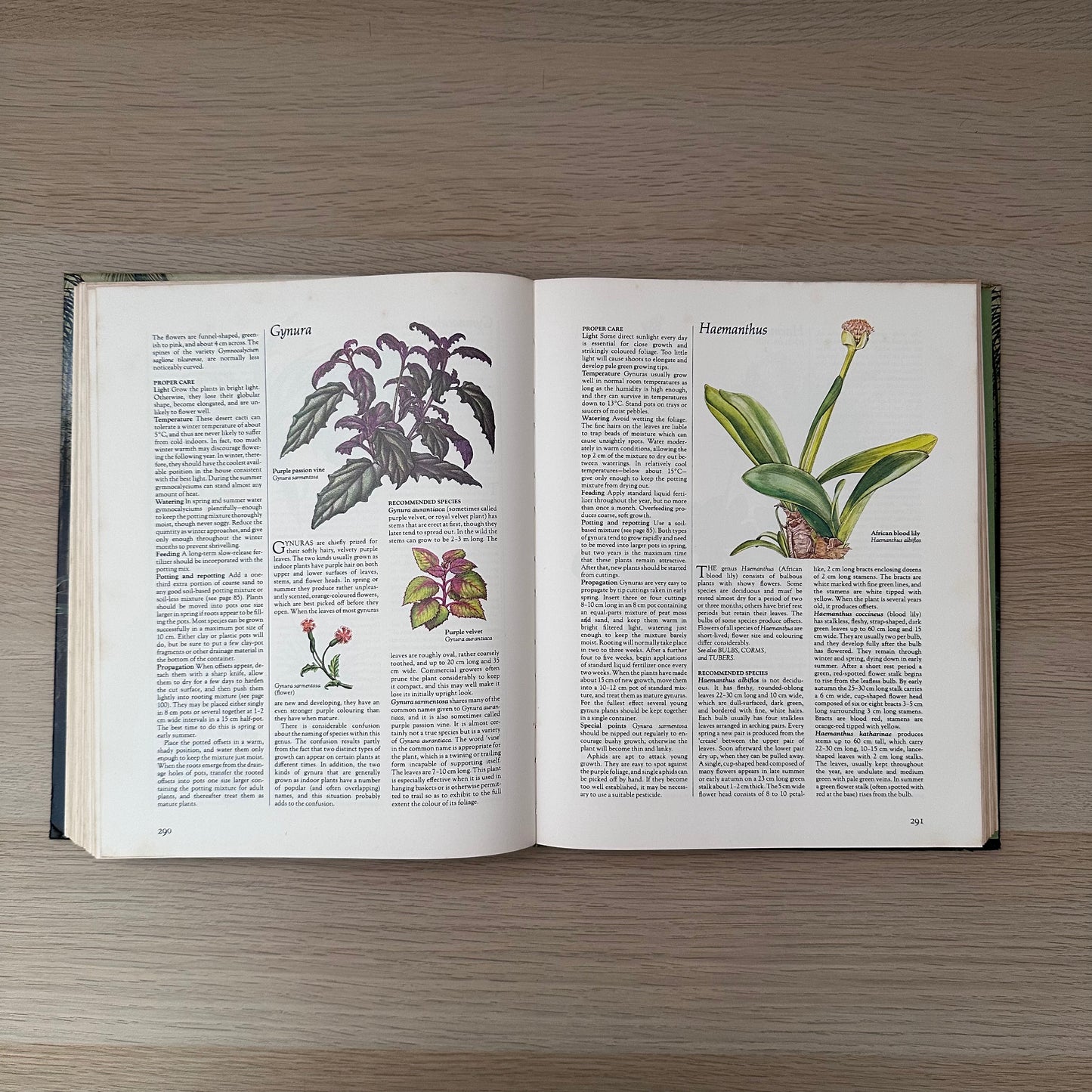 Complete Guide to Indoor Plants | 1981 | Reader's Digest